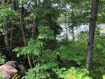 LOT 5 SUMAC Trail, Minden Hills, ON K0M 2K0