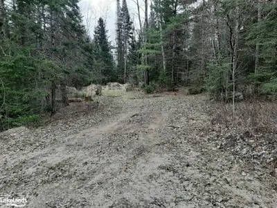 00 PAINT LAKE Road, Lake of Bays, ON P0B 1A0