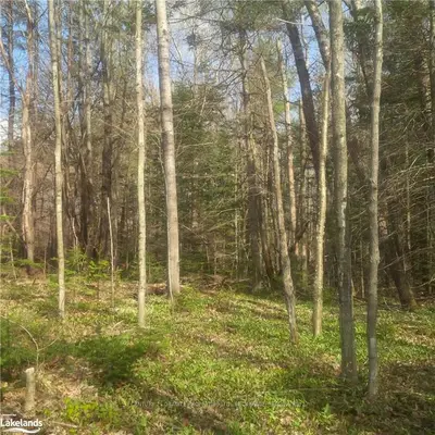 SUGAR LAKE ROAD Road, Seguin, ON P2A 0B6