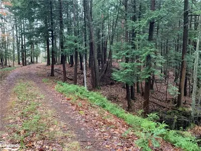 1245 BARLOCHAN Road, Muskoka Lakes, ON P1P 1R2