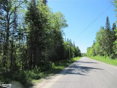 . BAY LAKE AND ROCHESTER LAKE Road, Perry, ON P0A 1J0