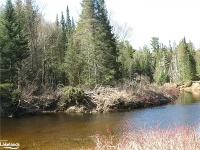 . CONTAU LAKE Road, Highlands East, ON K0M 1R0