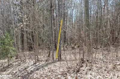 PT 4-6 LOT 17, CONC 10 , Huntsville, ON P1H 2J4