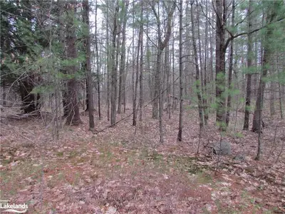 0 MUSKOKA ROAD 169 , Gravenhurst, ON P1P 1R1