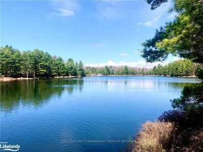 2299 MUSKOKA ROAD 117, Lake of Bays, ON P0B 1A0
