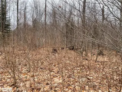 LOT 54 OFF OF ECHO RIDGE Road, Kearney, ON P0A 1M0