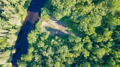 2884 Highway 60, Lake Of Bays, On, P0a 1h0