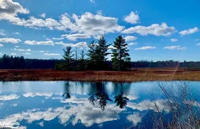 LOT 5, RIDGE Road, Muskoka Lakes, ON P0C 1M0