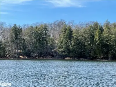 0 HALLS Road, Muskoka Lakes, ON P0B 1J0
