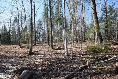 . HALIBURTON LAKE Road, Dysart et al, ON K0M 1S0