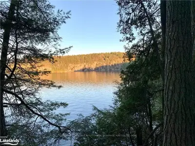 LOT 2 SOUTH SHORE , Algonquin Highlands, ON P0A 1E0