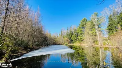 - BAYBERRY Lane, Highlands East, ON K0M 1S0