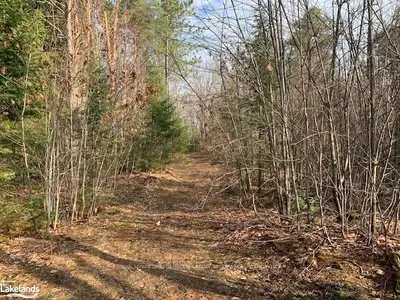 2246 HWY 518 WEST , McMurrich/Monteith, ON P0A 1Y0