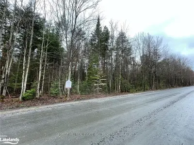 0 Germania Road, Bracebridge, ON P1P 1R3