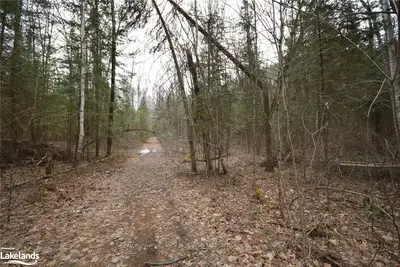 1194 LINKERT Road, Dysart et al, ON K0L 1X0