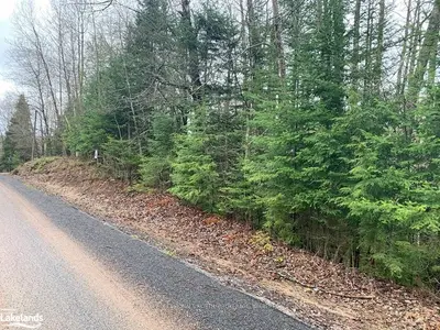 - CLEMENT LAKE Road, Highlands East, ON K0L 3C0