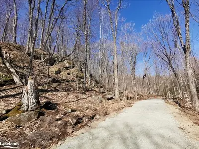 TBA SOUTH PORTAGE Road, Lake of Bays, ON P0A 1H0