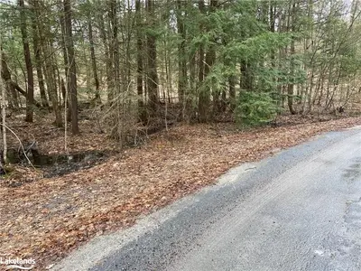 1015( APPROX ) ASHFORTH Drive, Muskoka Lakes, ON P0C 1M0