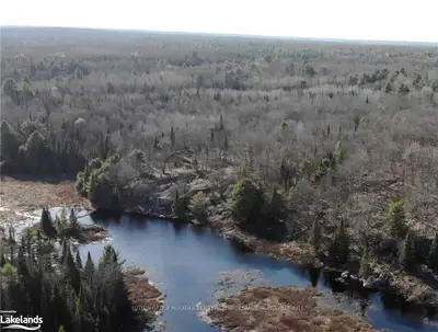 PT LT 31 BAYSVILLE , Lake of Bays, ON P0B 1A0