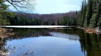 0 MADILL Road, Highlands East, ON K0M 1R0