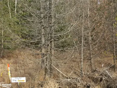 0 ESSONVILLE-LINE Road, Highlands East, ON K0L 3C0