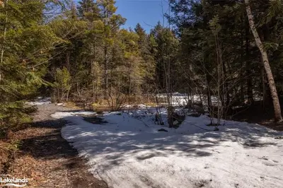 UNOPENED ROAD ALLOWANCE Trail, Bracebridge, ON P1L 1X3