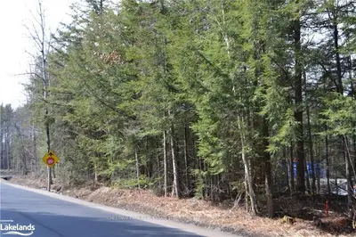 LOT 2 SOUTH MUSKOKA FALLS Road, Bracebridge, ON P1L 0A1