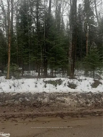 - KENNISIS LAKE Road, Dysart et al, ON K0M 1S0
