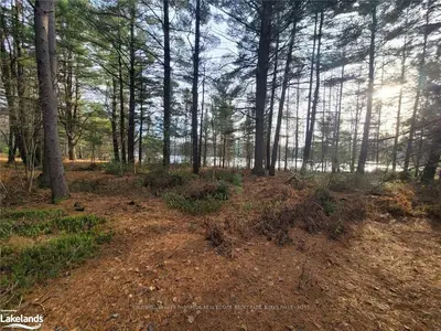 136 HUNTS Road, Huntsville, ON P0A 1H0