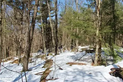 LOT 1 MUSKOKA PINES Road, Bracebridge, ON P1L 0A1