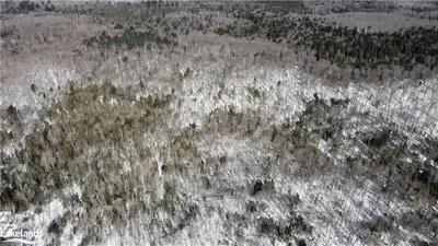 - WIGAMOG Road, Minden Hills, ON K0M 2K0