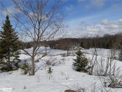 17 40 INVERLOCHY Road, Carling, ON P0G 1G0