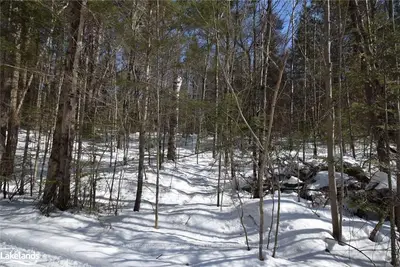 . BUSHWOLF LAKE Road, Dysart et al, ON K0M 1M0