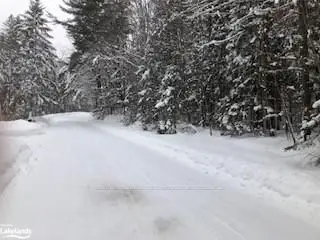 87 BALSAM CHUTES Road N, Huntsville, ON P0H 0A1
