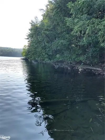 1291 Skeleton Lake Road 2 Road 10, Muskoka Lakes, On P0b 1m0