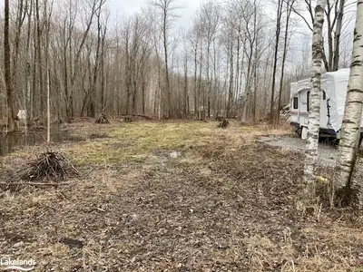 11 PARK Lane, Kawartha Lakes, ON L0K 1W0