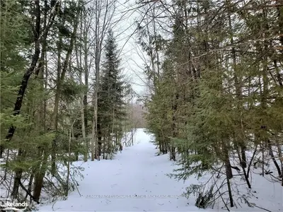 1646 VOICEY Road, Minden Hills, ON K0M 2K0