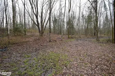 1071 LOUISE Lane, Minden Hills, ON K0M 2K0