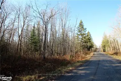 NA ODORIZZI Road, Parry Sound Remote Area, ON P0H 1V0