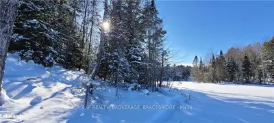 BLACKSTONE CRANE LAKE Road, Seguin, ON P2A 2W8