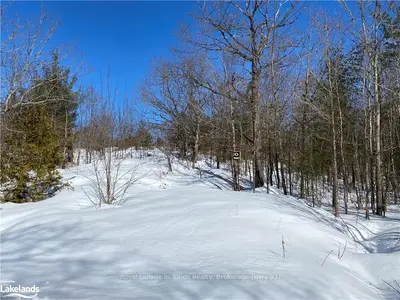 LT 23 KINGS FARM Road, Georgian Bay, ON L0K 1S0