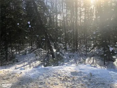 0 PICKERELL JACK LAKE Road, Armour, ON P0A 1C0