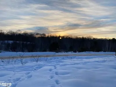 85 LODGE Road, Georgian Bay, ON L0K 1S0