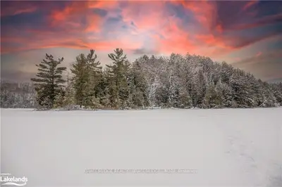 SOUTH RIL LAKE Road, Lake of Bays, ON P0B 1A0