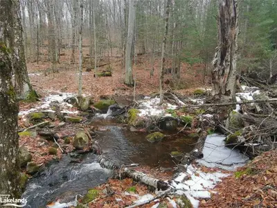 SOUTH PORTAGE Road, Lake of Bays, ON P0A 1H0