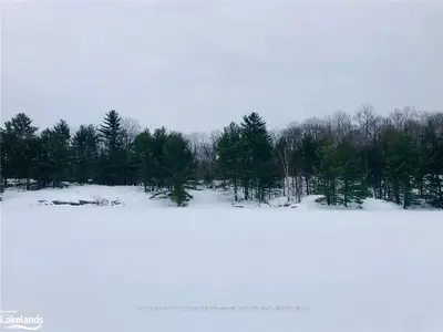 82 HEALEY LAKE W/A , The Archipelago, ON P0C 1H0