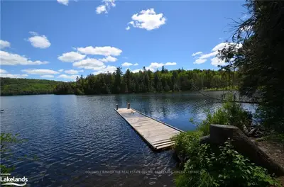 5980 LIVINGSTONE LAKE Road, Algonquin Highlands, ON P0A 1E0