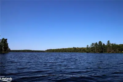 196 TRAILAINE Road, Parry Sound Remote Area, ON P0H 1Y0