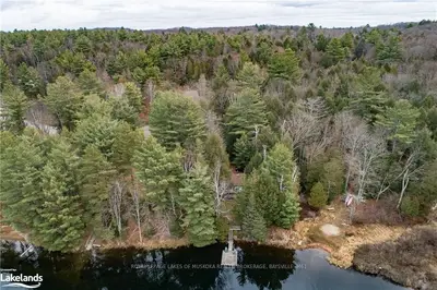 1006 GOWING Road, Lake of Bays, ON P0B 1A0