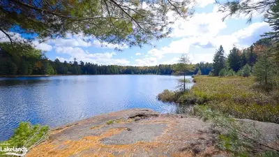 LT 15/16 ROCKSBOROUGH Road, Bracebridge, ON P1L 0A1
